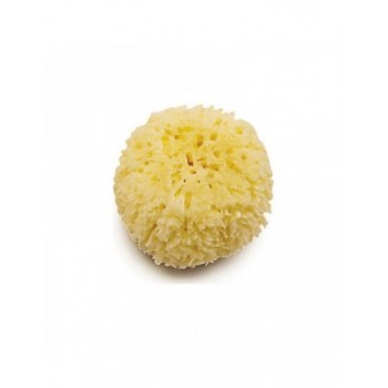 Esponja Natural Olmitos